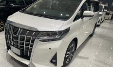 埃尔法亚洲版 全部在售 2024款 2023款 2022款,埃尔法亚洲版最低报价101万起